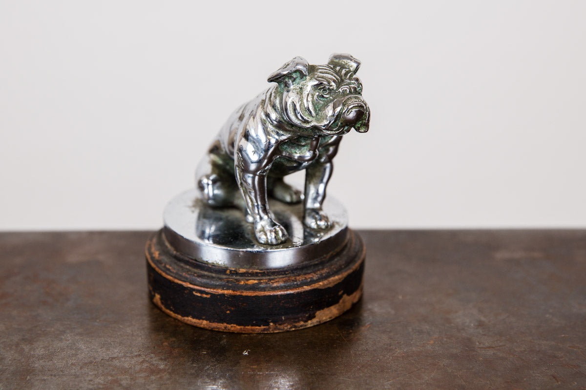 Bulldog Mascot Statue