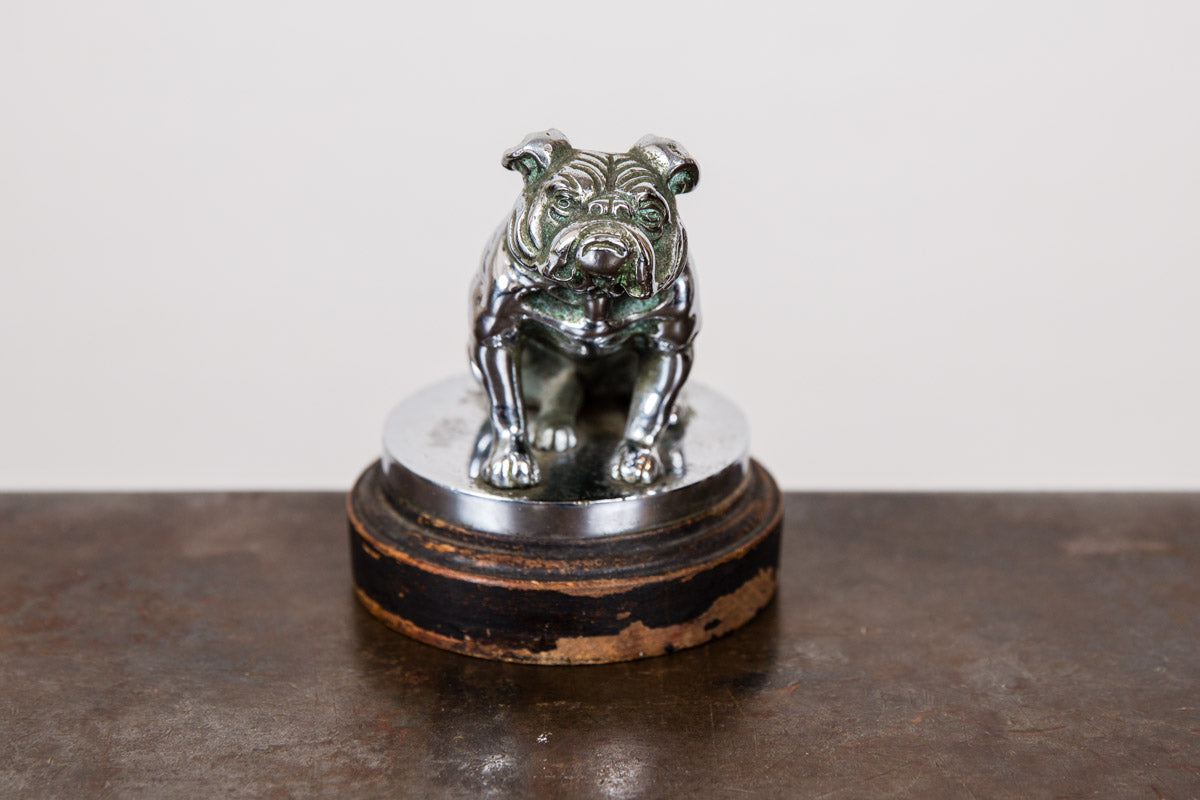 Bulldog Mascot Statue