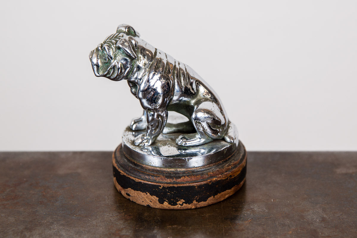 Bulldog Mascot Statue