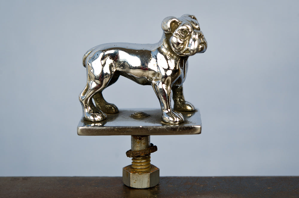 Chrome Bulldog Car Bonnet, Small Scale