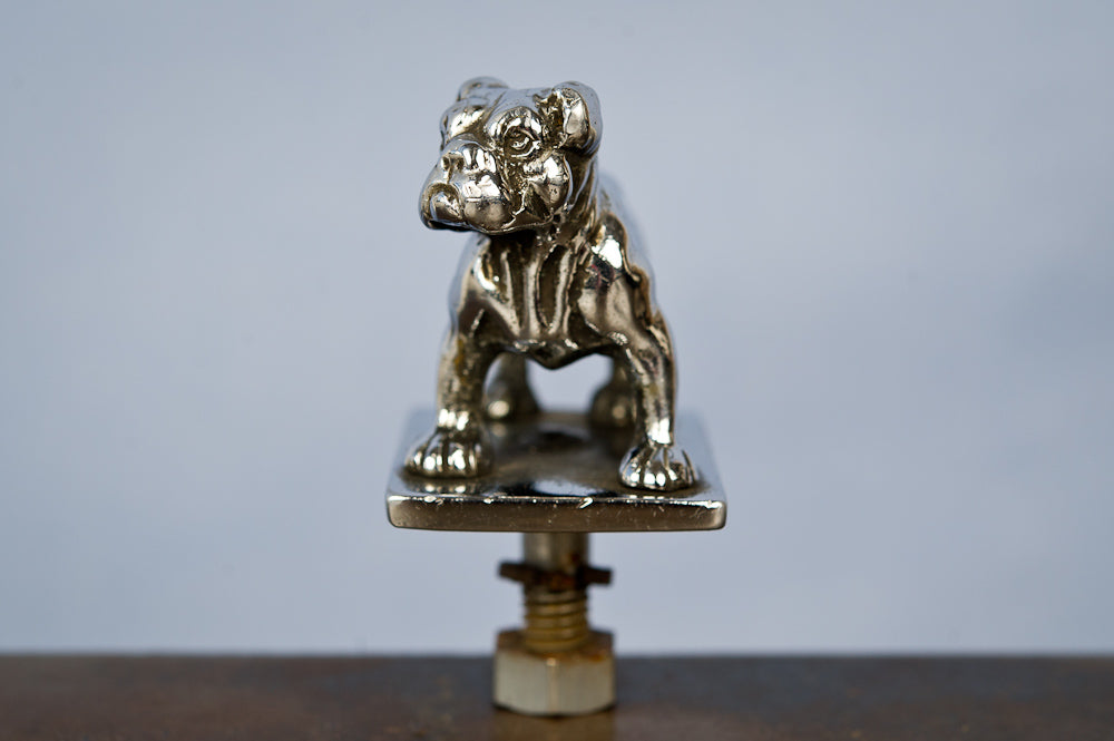 Chrome Bulldog Car Bonnet, Small Scale