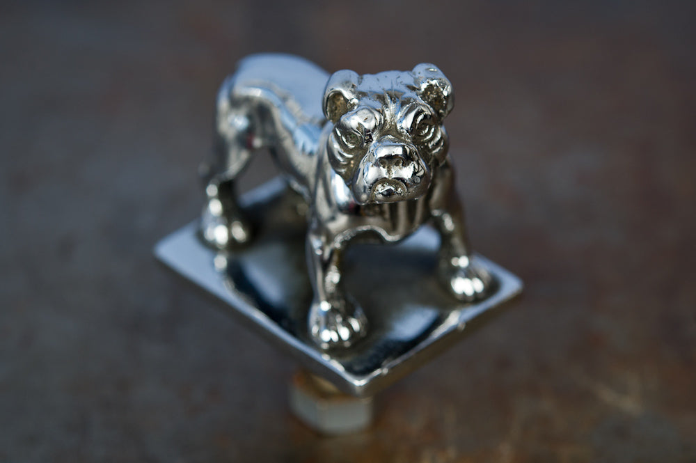 Chrome Bulldog Car Bonnet, Small Scale
