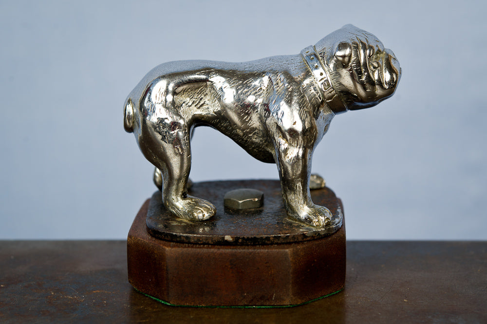Chrome Bulldog Mascot on Wooden Plinthe