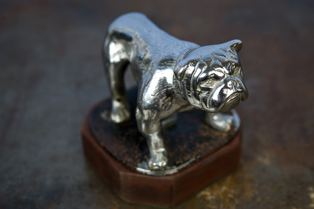 Chrome Bulldog Mascot on Wooden Plinthe