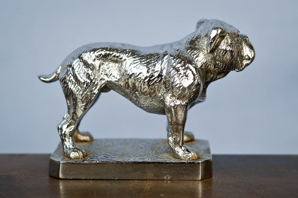 LeJune Chrome Bulldog Mascot