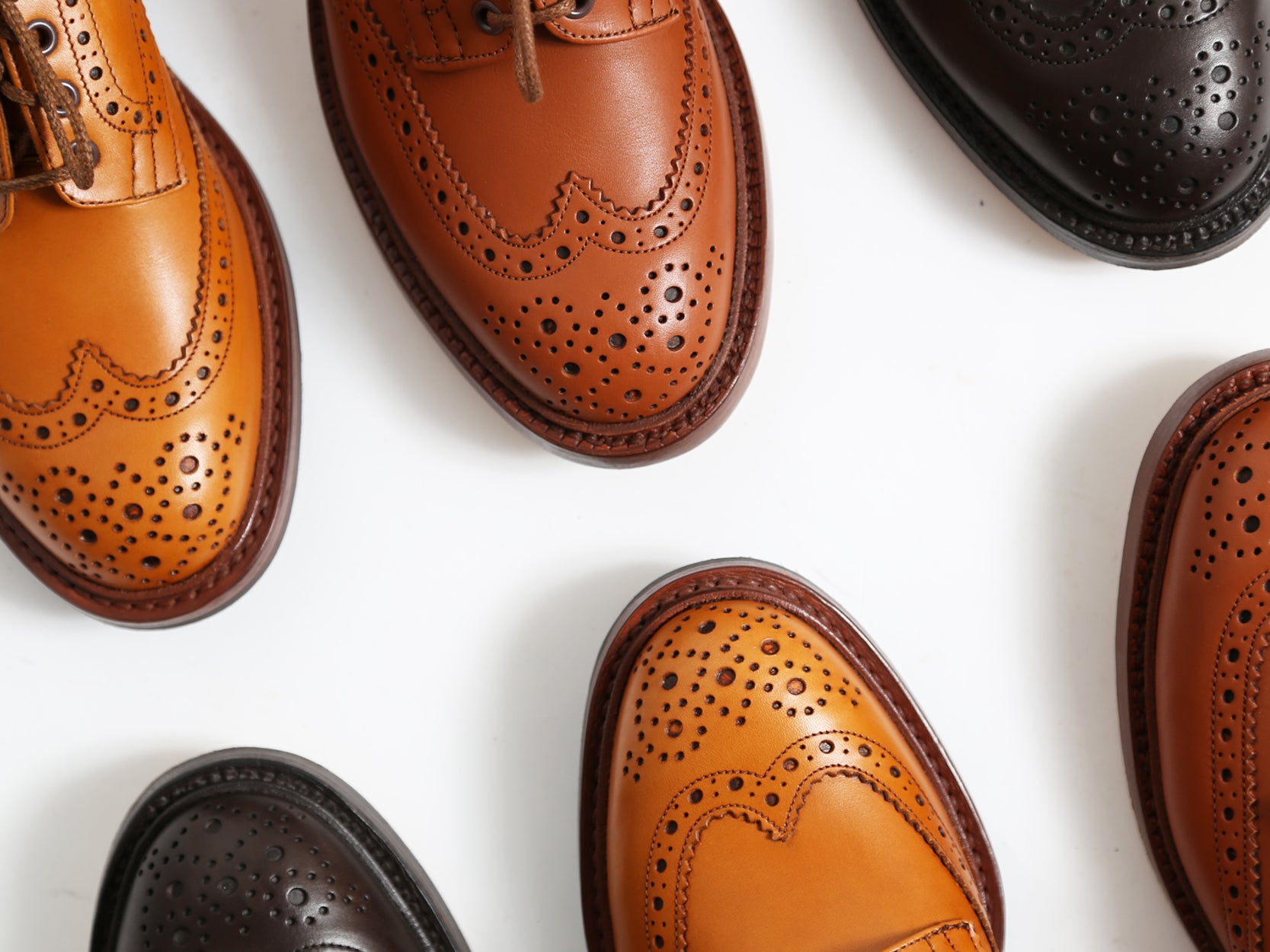 Men's Trickers Espresso Bourton Brogue
