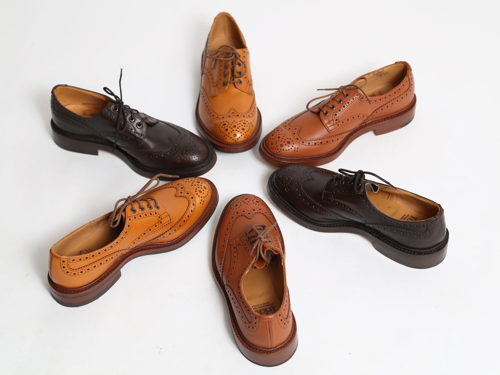 Men's Trickers Espresso Bourton Brogue