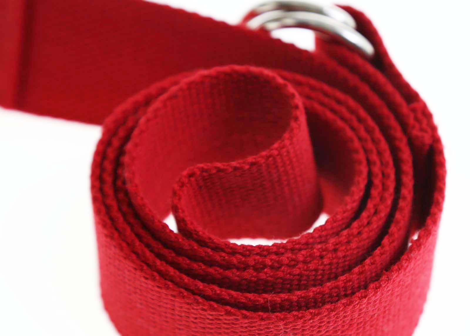 Post Box Red Regent Web Belt