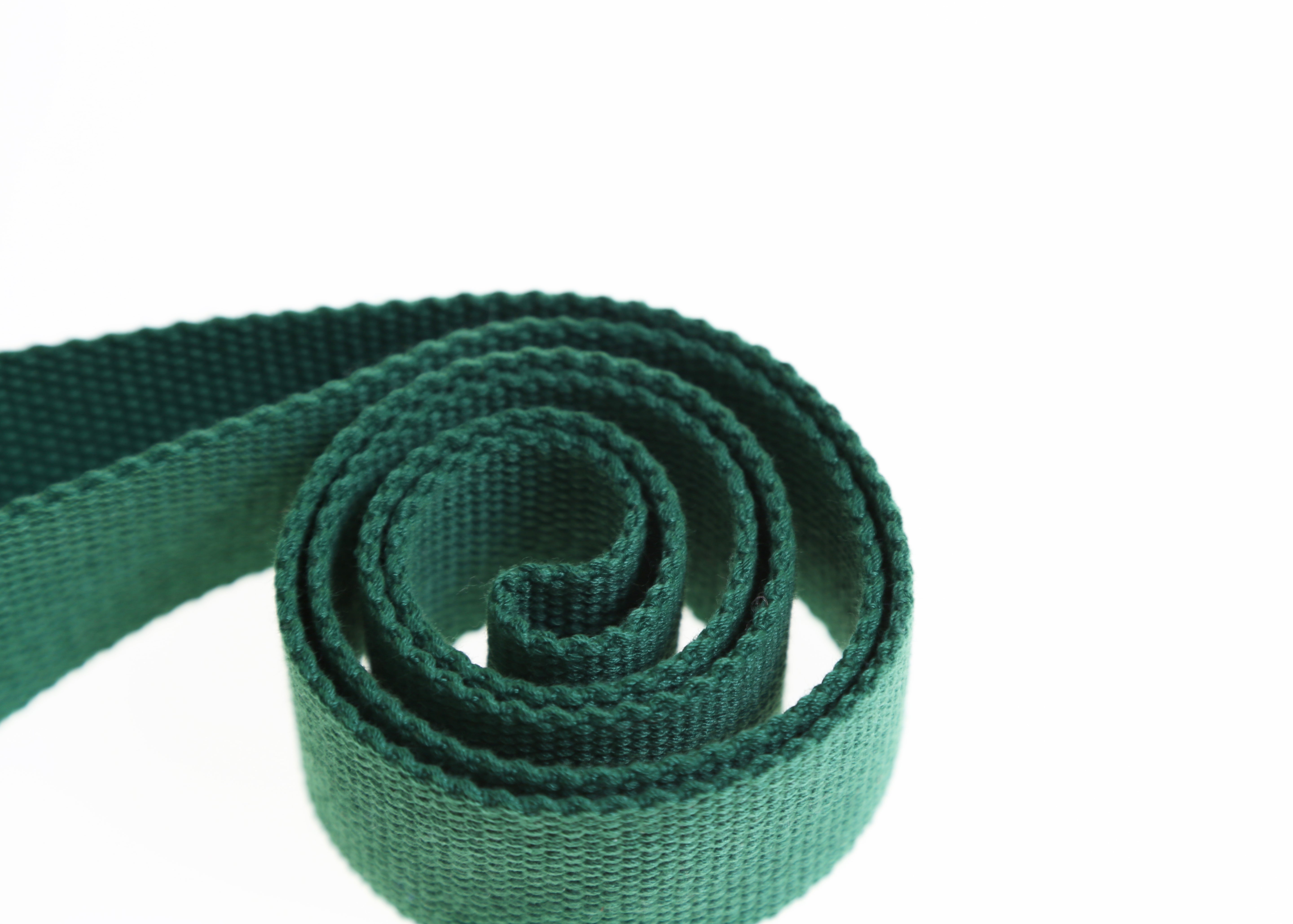 Sherwood Green Regent Web Belt