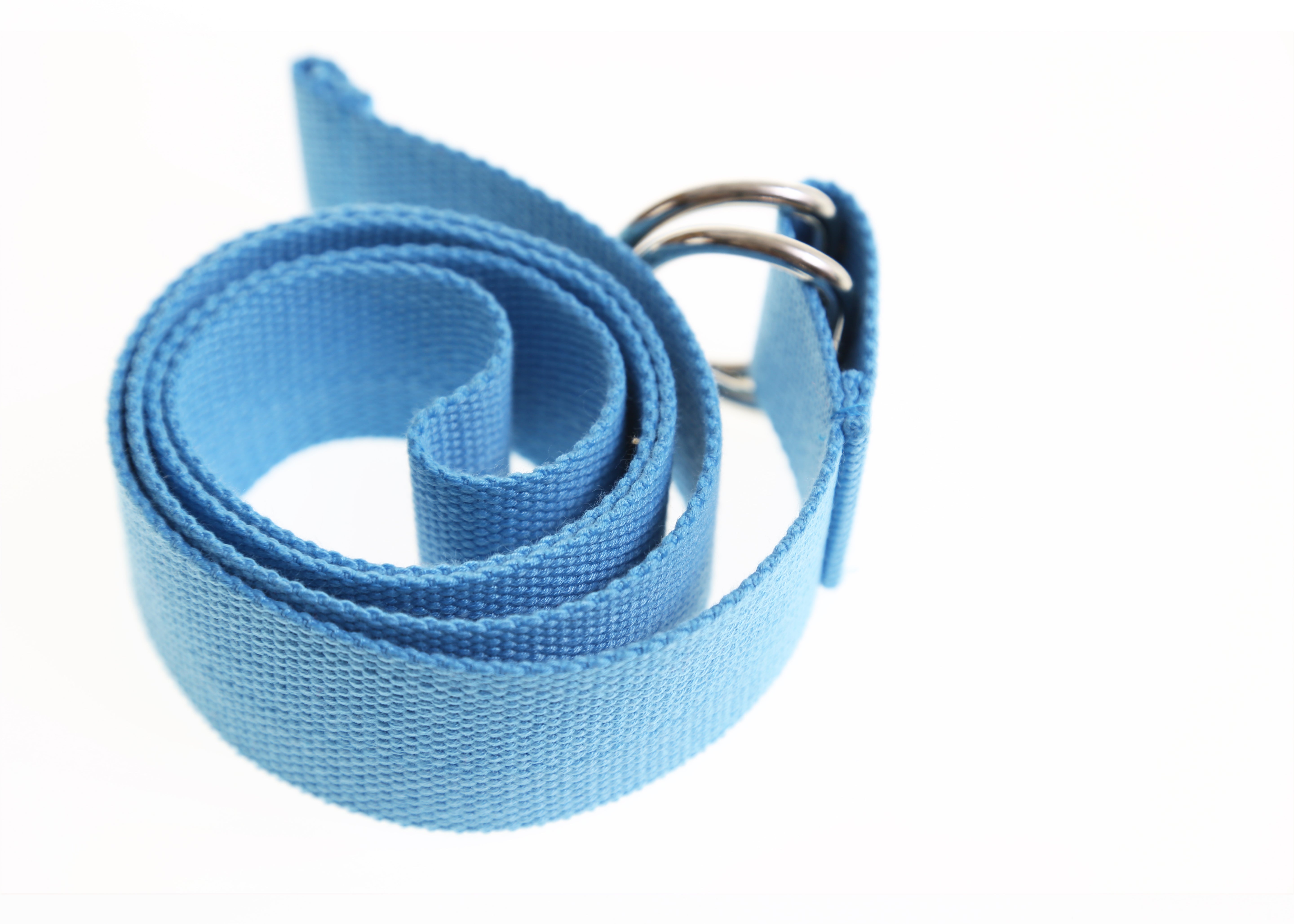 Sky Blue Regent Web Belt
